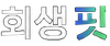 회생핏